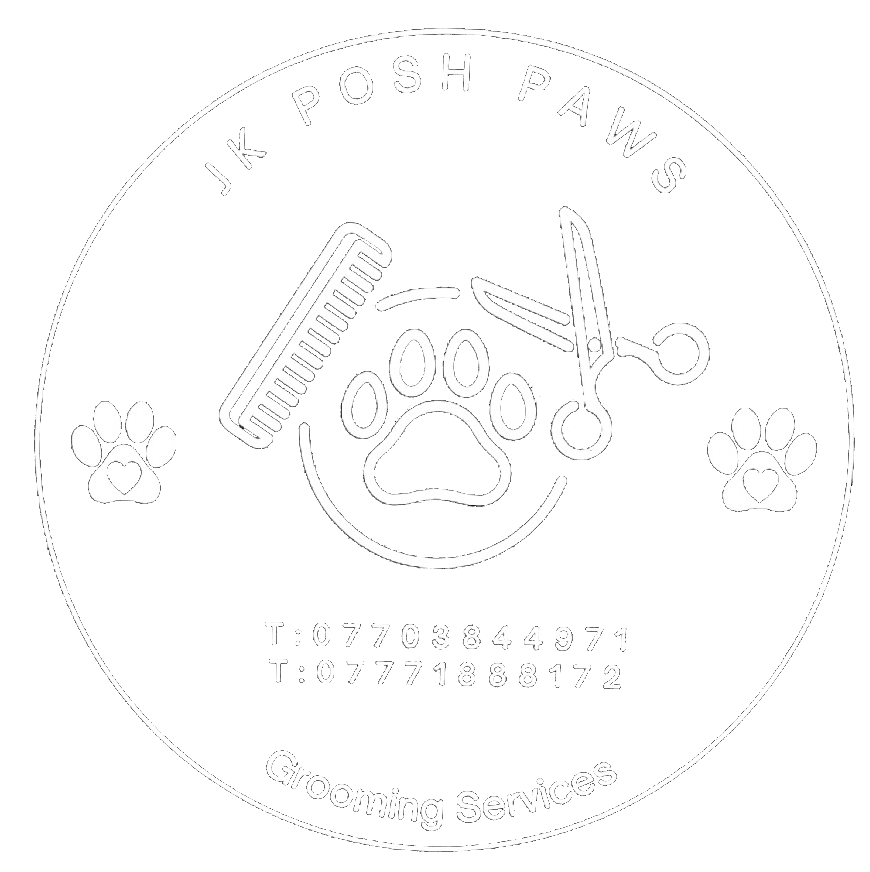 Dog Groomer Bristol